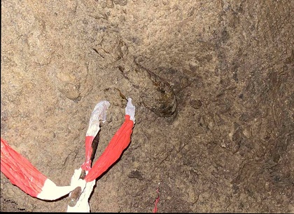 В харьковском котловане нашли минометную мину - ГСЧС