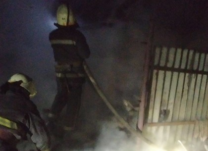 ФОТО: Пожар в частном дворе тушили больше часа – ГСЧС