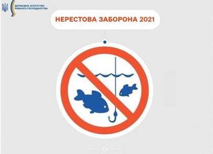 На речках и водоемах Харьковщины наступает нерест рыбы: где рыбалка запрещена