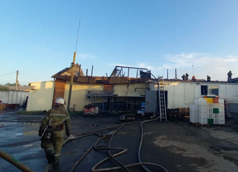 В Харьковском районе вспыхнул крупный пожар. Новости Харькова
