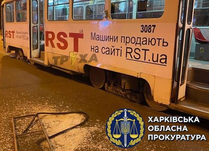 Дебош в трамвае: В Харькове будут судить буянившего хулигана (ФОТО)