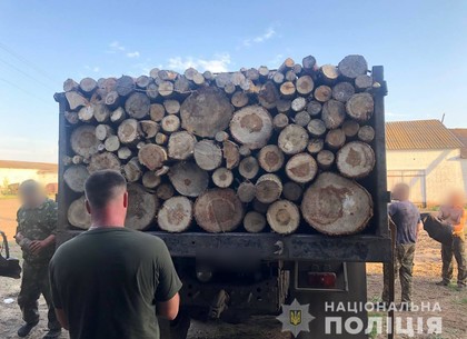 Под Харьковом копы выявили незаконную порубку деревьев (ФОТО)