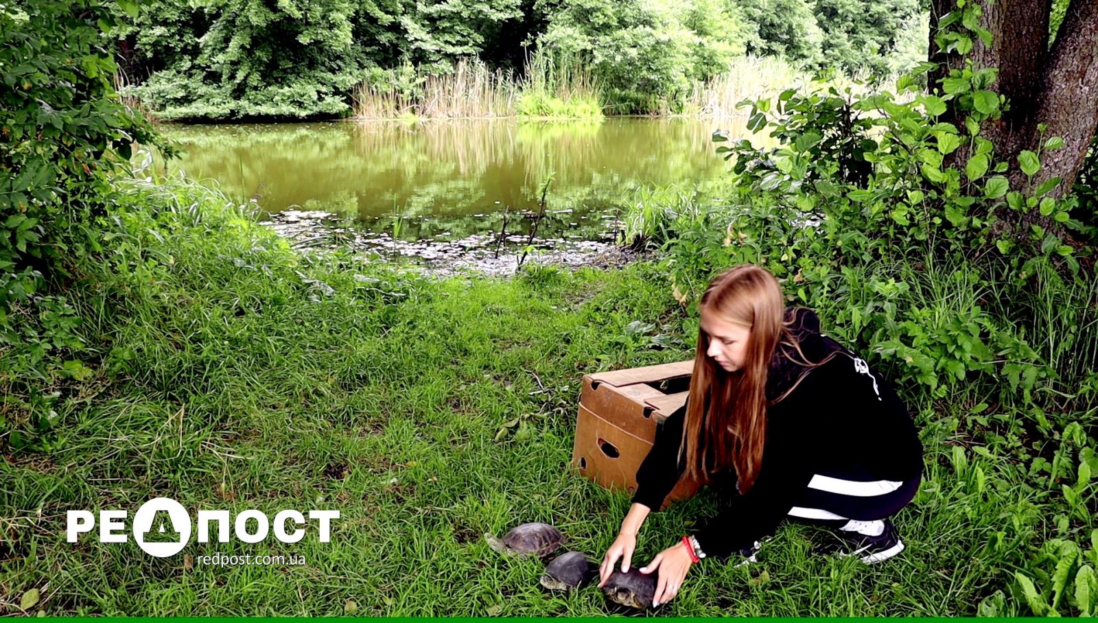 Харьковский зоопарк выпустил болотных черепах в естественную среду