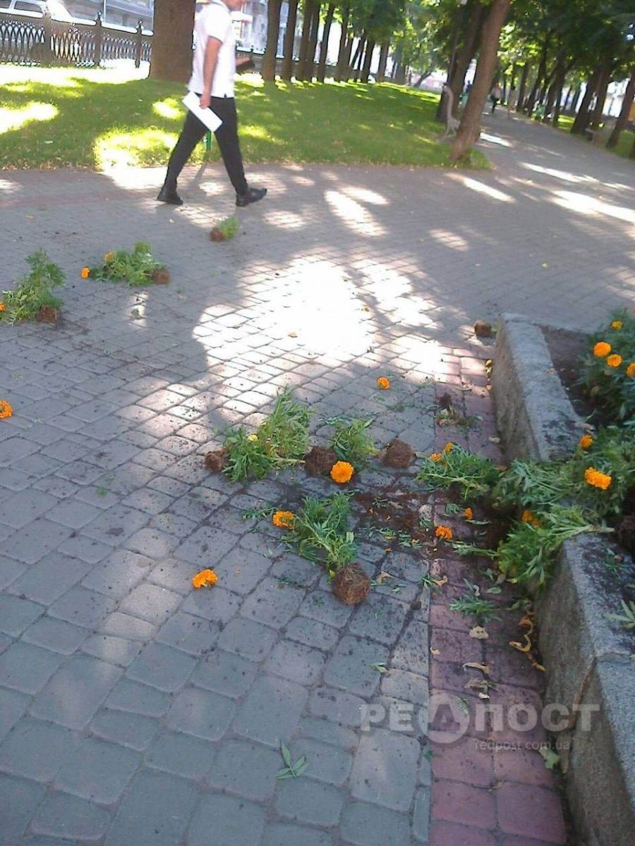 В центре Харькова вандалы уничтожили цветочную клумбу