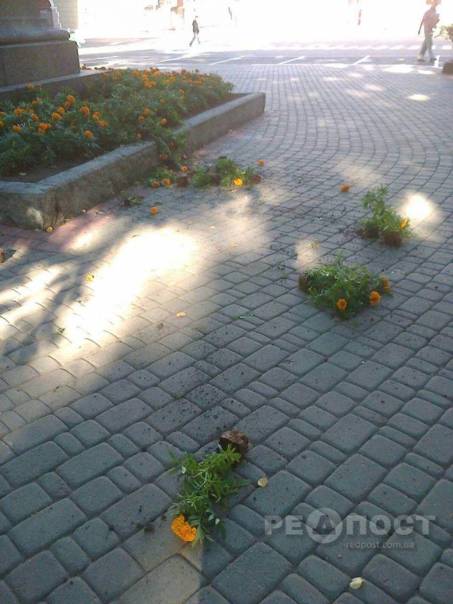 В центре Харькова вандалы уничтожили цветочную клумбу