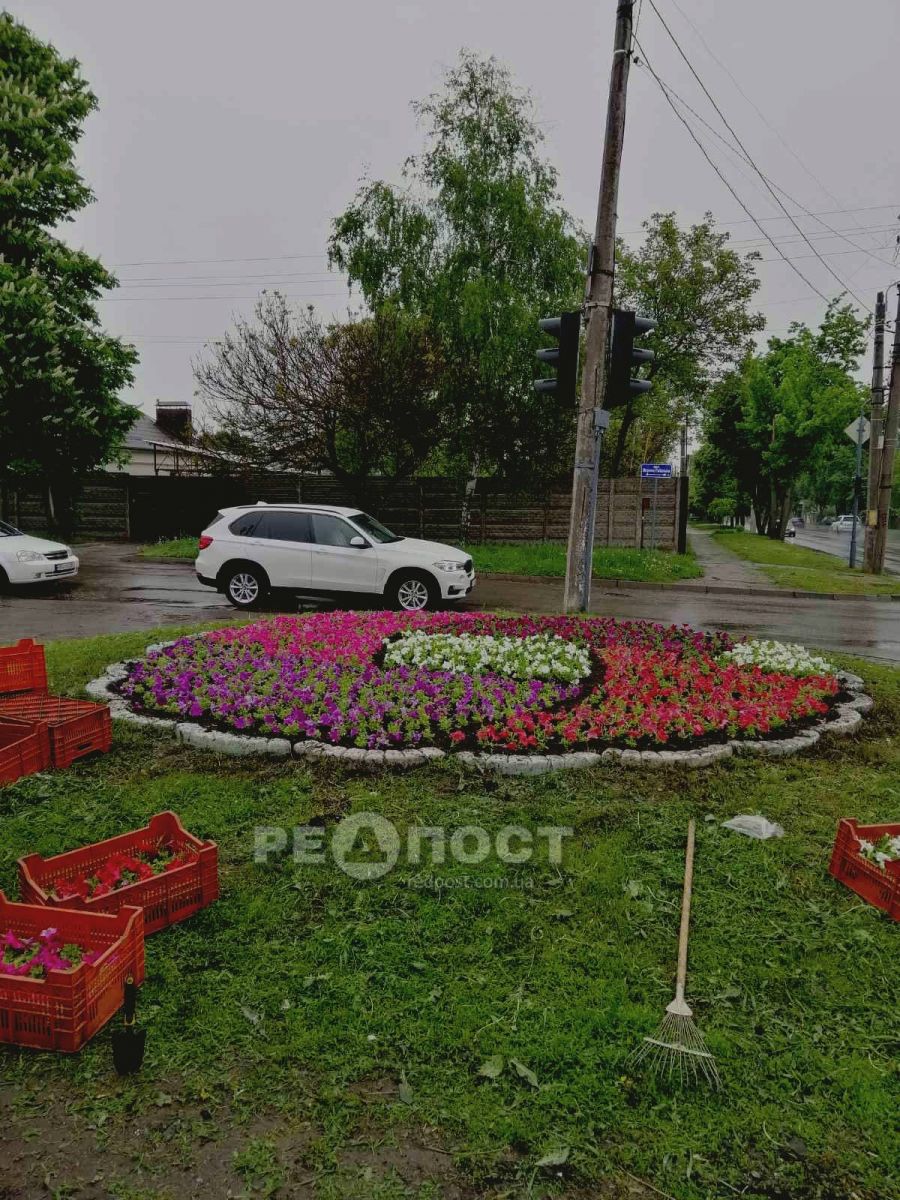 В Харькове из клумбы вандалы выкопали 2000 цветов