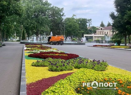 Приближаемся к двум миллионам: в Харькове высадили рекордное количество цветов