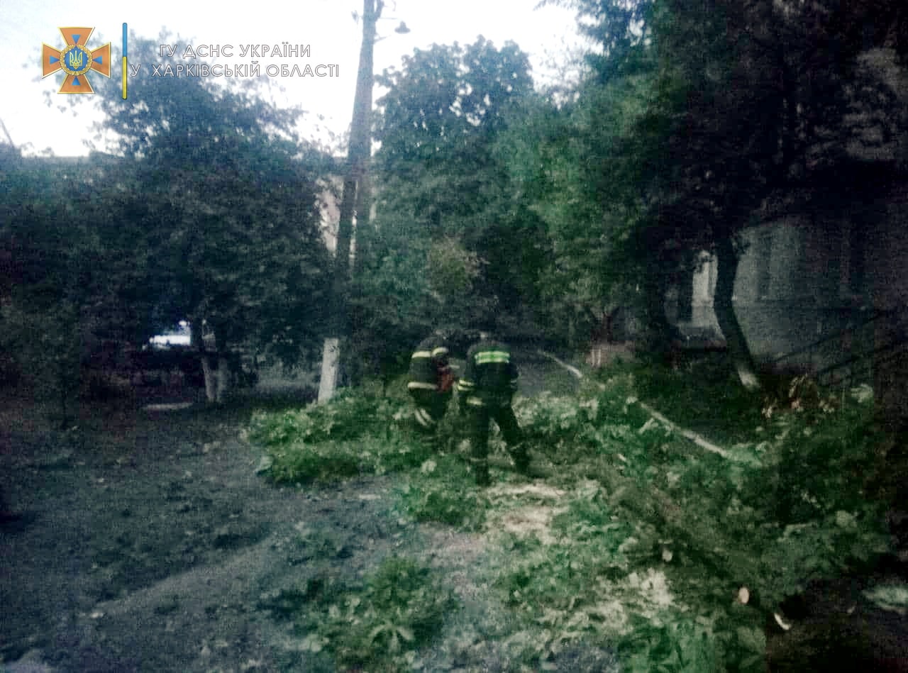 Шквальный ветер на Харьковщине повалил деревья. Новости Харькова