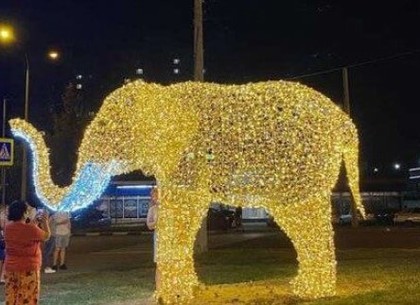 На улицах Харькова появились светящиеся фигуры обитателей зоопарка