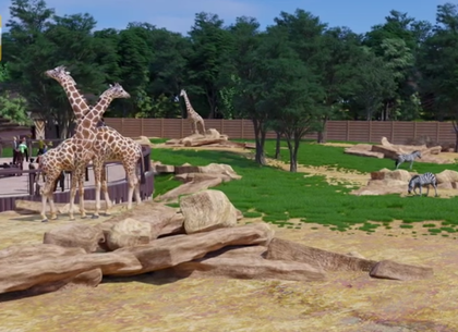 Животные в харьковском зоопарке ждут открытия: история от сотрудницы (видео)