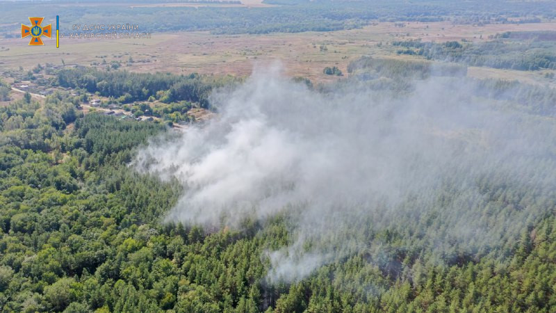 Хвойный лес горел в Изюмском районе под Харьковом