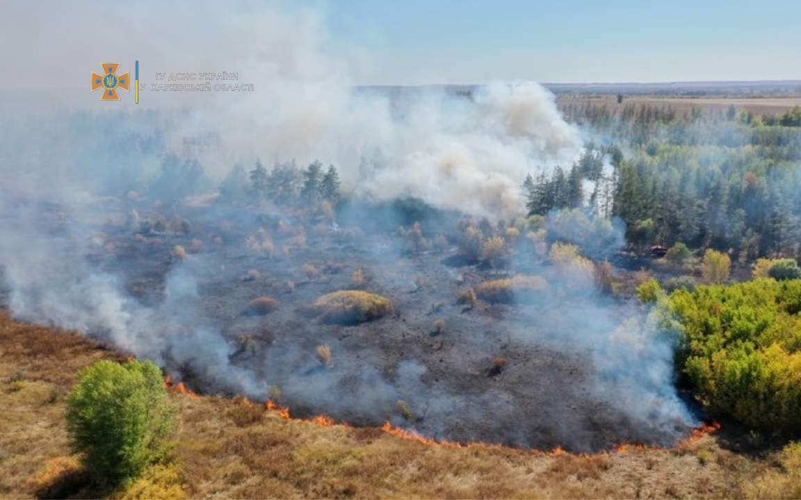 В Харьковской области горел лес