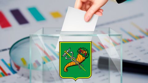 В Харькове Добкин вместе с Немичевым зарегистрировались кандидатами в мэры