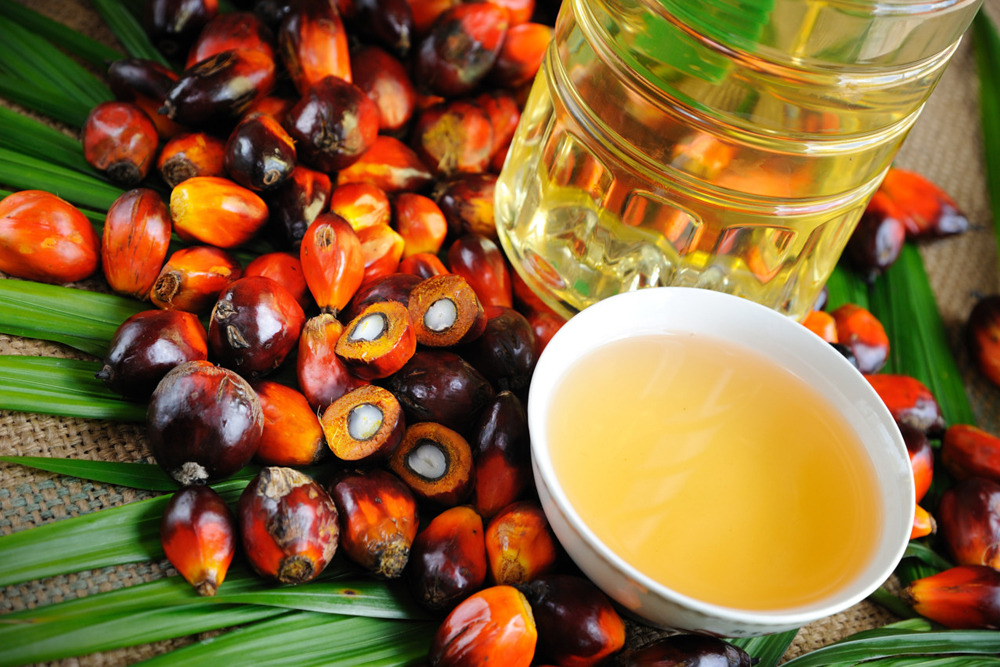 В Украине хотят запретить пальмовое масло