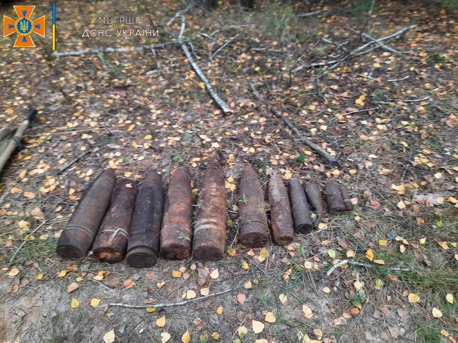 Арсенал снарядов на Харьковщине обнаружили грибники