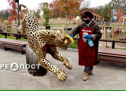 Как работает Харьковский зоопарк в «оранжевой» зоне карантина