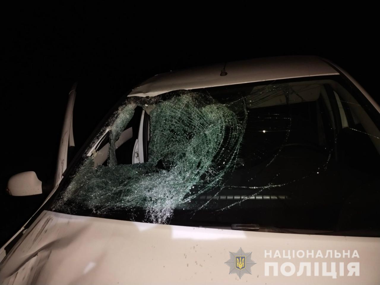 ДТП Харьков: На трассе Мерефа-Павлоград водитель Renault Logan насмерть сбил пешехода