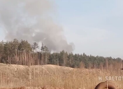 Пожар под Харьковом: столб дыма стоит над Безлюдовкой (видео)
