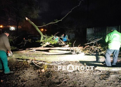 Непогода в Харькове: сколько деревьев обрушилось за ночь