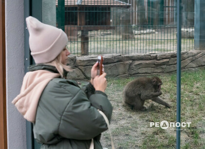 Харьковский зоопарк ужесточает требования для посетителей: подробности