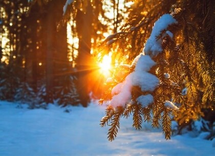 Чем интересен День зимнего солнцестояния