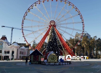 Зажжение огней на елке и концерты: в парке Горького подготовили праздничную программу