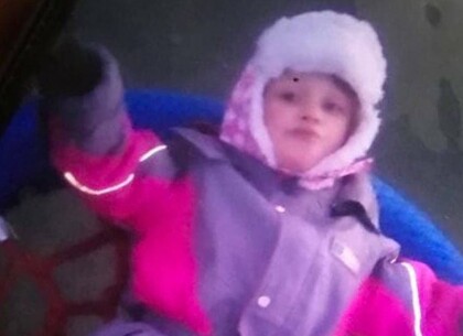 Малышку искали два часа: в Харькове найден пропавший ребенок (фото)