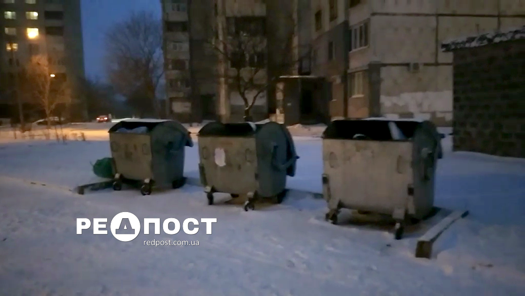Криминал Харьков: Труп собаки обнаружили у мусорного бака