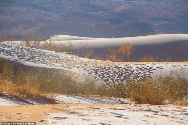 Выпал снег в пустыне Сахара - в пятый раз за 42 года
