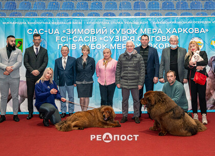 В Харькове проходит выставка собак всех пород 
