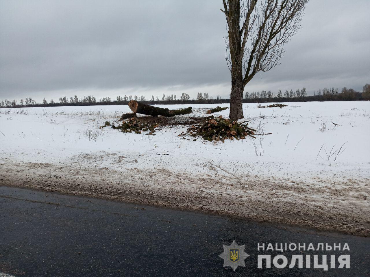 В Харькове приняли решение по «черному лесорубу»