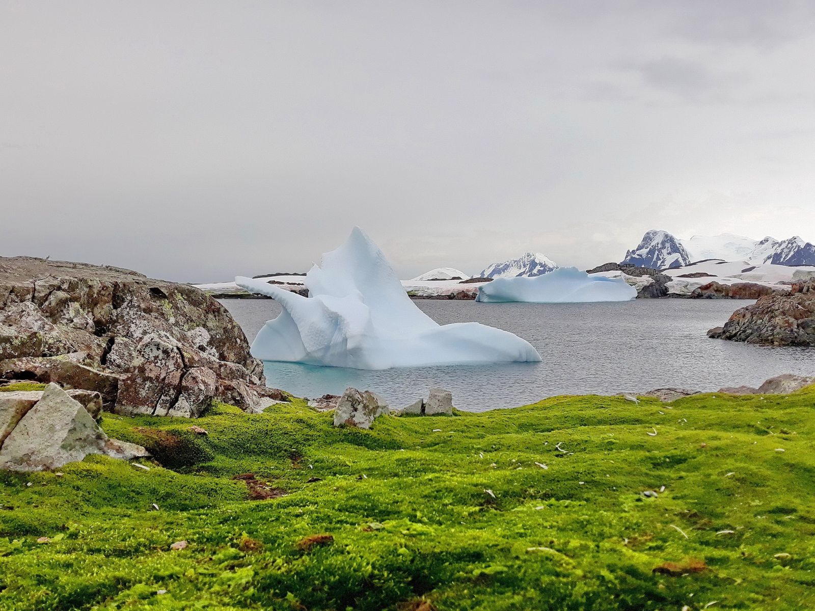 Температура в Антарктиде: метеорологи зафиксировали новый рекорд