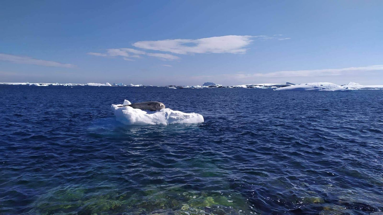 Температура в Антарктиде: метеорологи зафиксировали новый рекорд