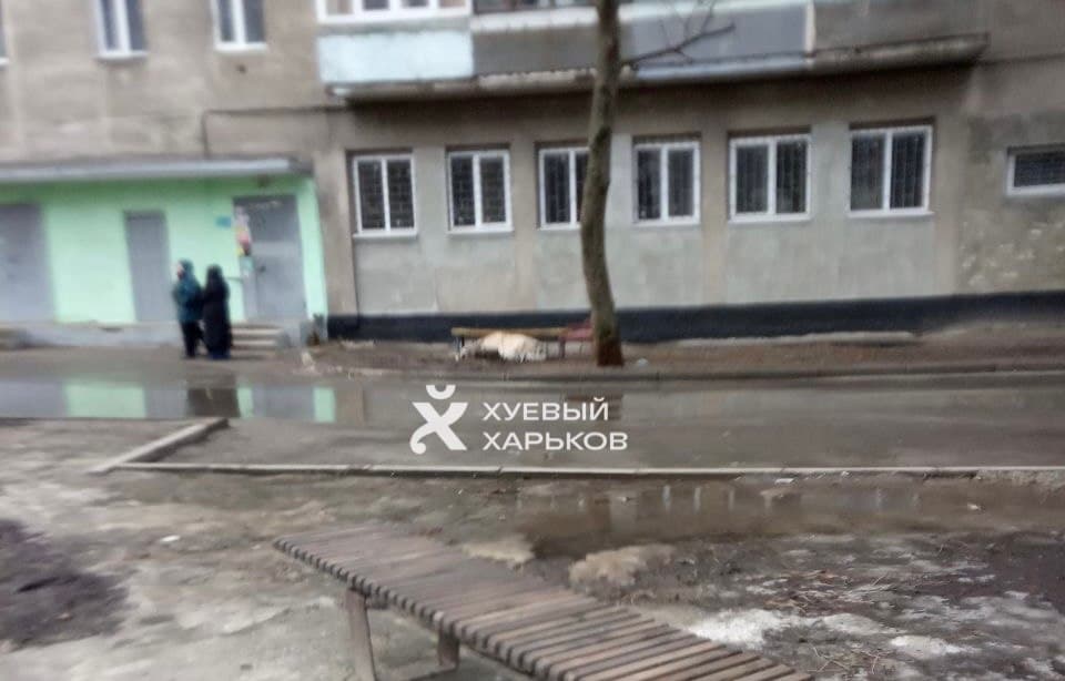 Криминал Харьков: Найден труп мужчины на улице Танкопия, 6 на Новых Домах