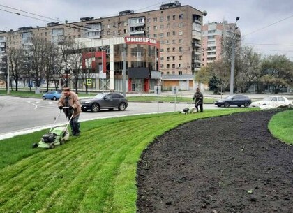 В Харькове готовятся к высадке цветов