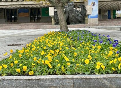 В Харькове началась высадка цветов на клумбах