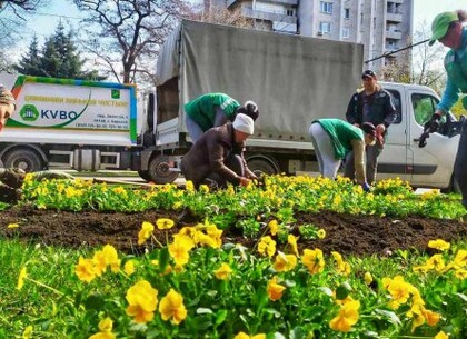 В центре Харькова высаживают цветы на клумбах