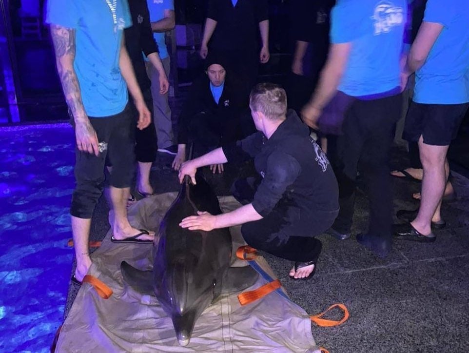 Эвакуация Харьковского дельфинария 