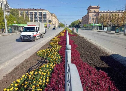 В Харькове высаживают цветы вдоль проспектов