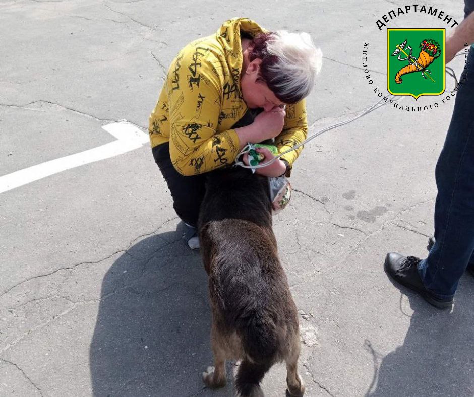 В Харькове пес провалился в 4-метровый колодец