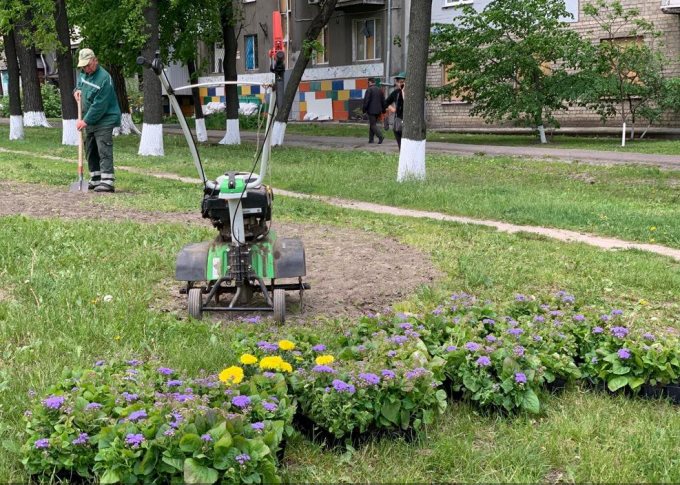 В Харькове продолжают высаживать цветы