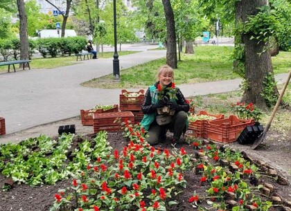 Тысячи цветов: все более красивым делают город харьковские озеленители (фото)