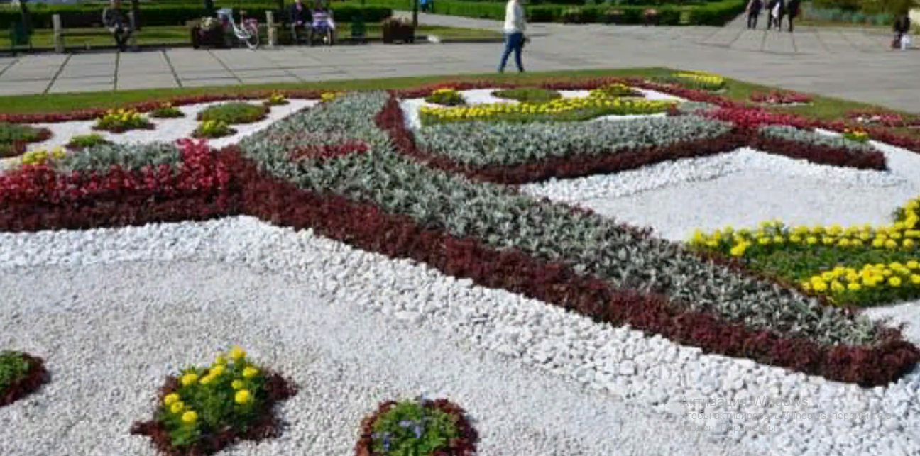 В Киеве открыто панно из нескольких тысяч цветов, посвященное «Мрії»