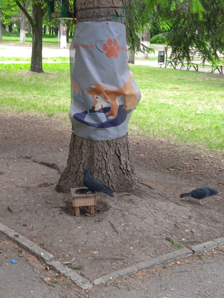 Установлены поилки для животных в харьковском парке Машиностроителей