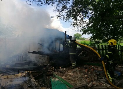Пожарные тушили дома под Харьковом и хвойный лес после обстрелов оккупантов