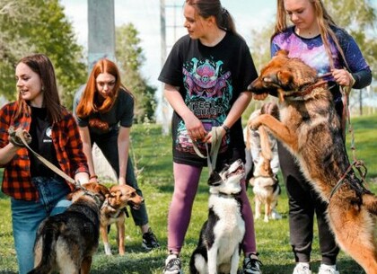 10 лет: в Харьковском приюте для животных отметили юбилей