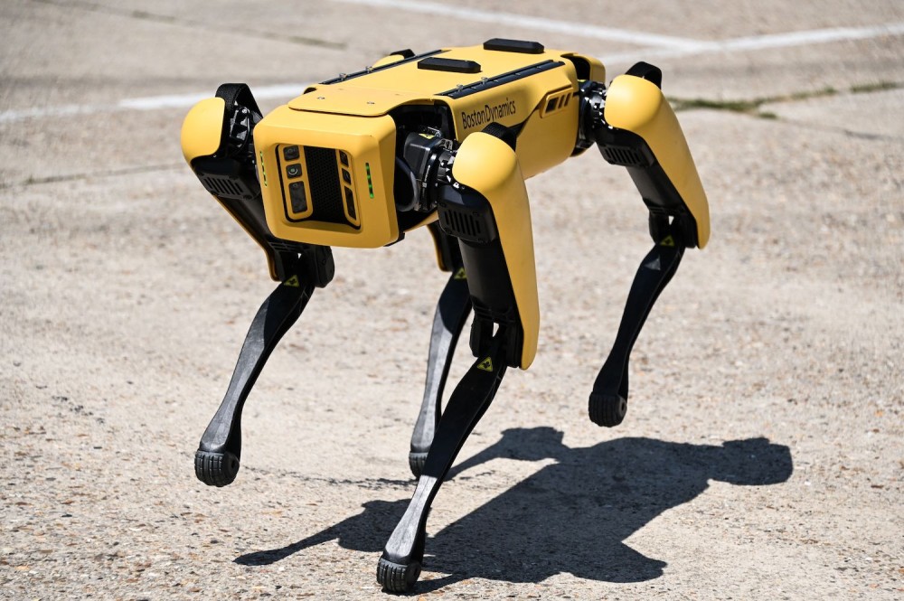 Робот-пес 