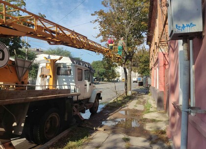 Комунальники тримають у ладі улюблені місця відпочинку харків'ян