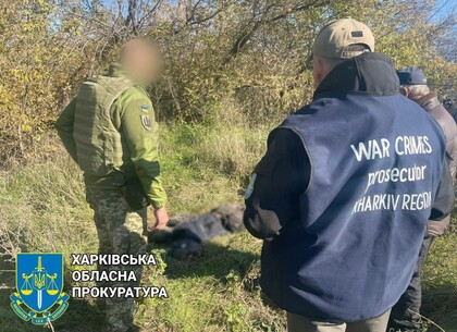 Від дій окупантів на Харківщині загинуло майже 1500 цивільних мешканців (відео)