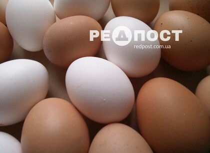Знову зростуть ціни на яйця: стало відомо, чому саме